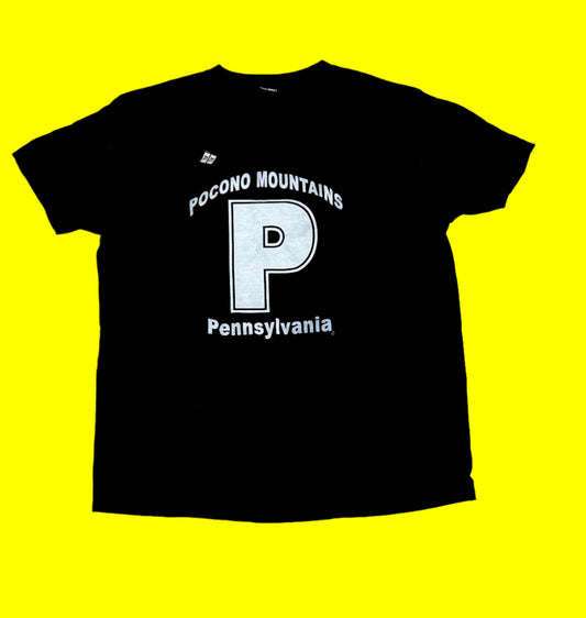 POCONO MOUNTAINS LOGO