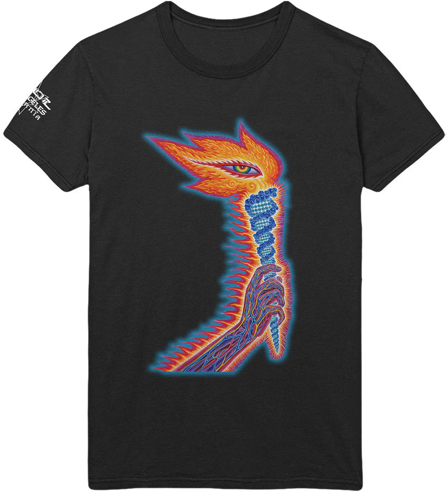 TOOL TORCH DESIGN